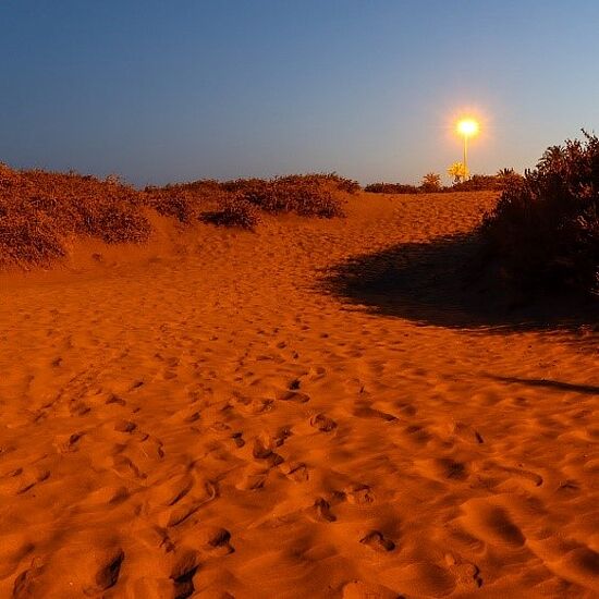 Feuer aus der Wüste. Durch die Glut der Wüstenväter das innere Leben entflammen