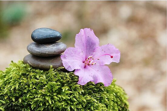 Funktionelle Entspannung - 
"Stehen - Gehen - Sitzen"