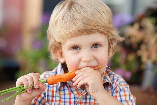 Essenzielle Spurenelemente - wer legt sie fest und reichen sie wirklich zum Leben?
"Mensch um 7"