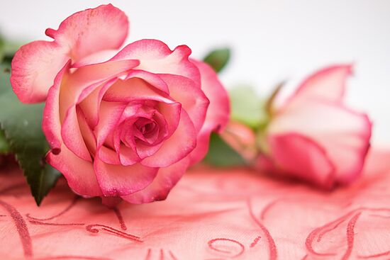 "Besinnliche Gedanken zum Muttertag"