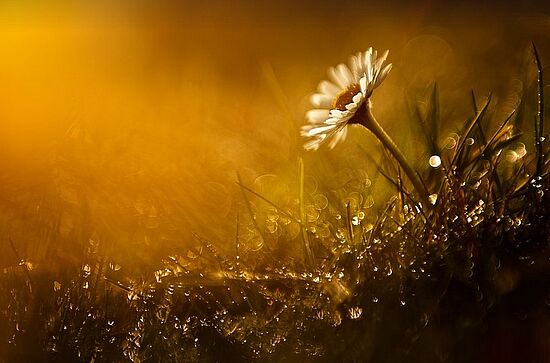 Durchatmen statt untergehen